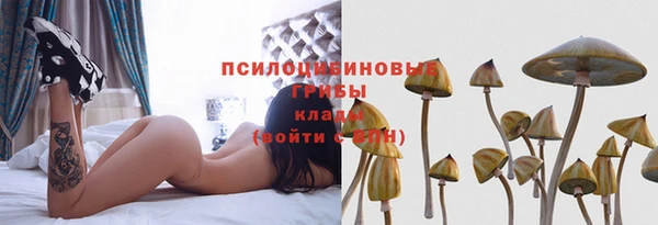 каннабис Бородино