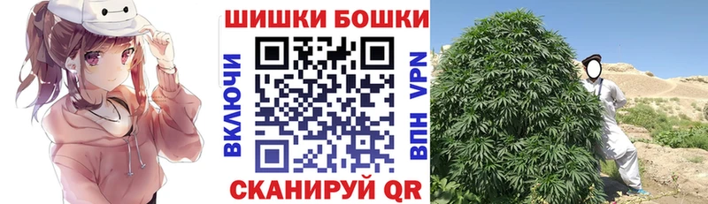 купить наркоту  Новосокольники  Канабис марихуана 